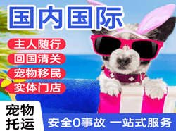 扬州航空快运国际宠物托运 【国